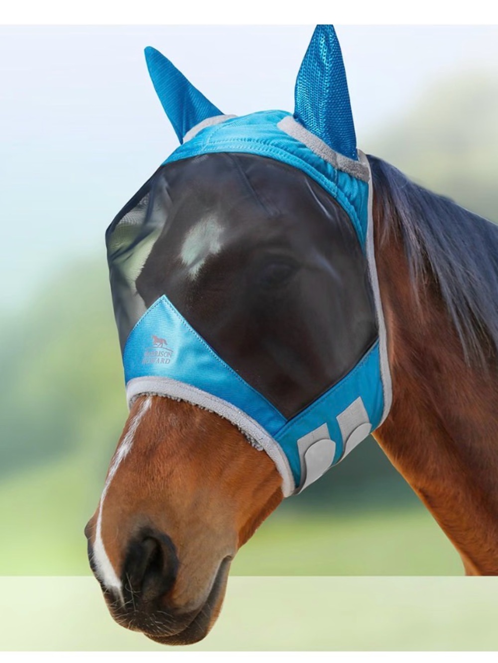 Harrison Howard Fly mask